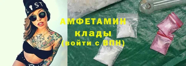 сатива Абаза
