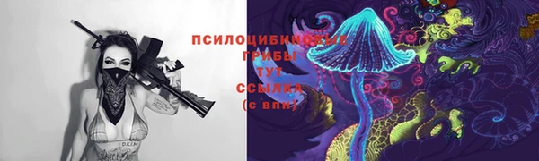 сатива Абаза